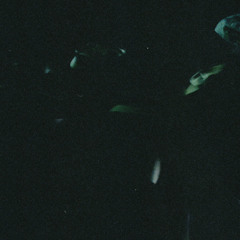 Ball VRP & Novel Soul - Space
