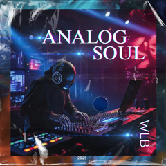 Analog Soul