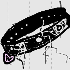 shock collar