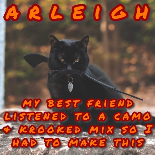 My Best Friend Listened to a Camo & Krooked Mix So I had to Make This - D&BS