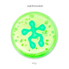 AKRAV - OAK SESSION N°5