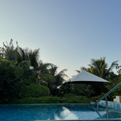 Georges Disco Set #6