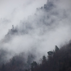 Let Me Down (prod. Lordzuko)