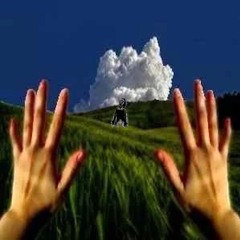 HELP WILLYWONKA bbyplvg $ SLÄSSLÄGE