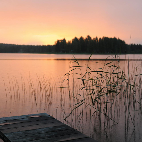 কখনো রোদ তুমি, কখনো জোছনা