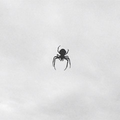 diehunnas (freestyle)