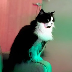 Ooh Child (I wish things were easier)