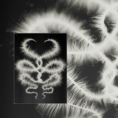 Premiere: Altjira - Overnal