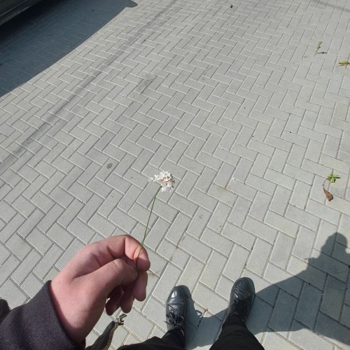 Adam - Давай не болей