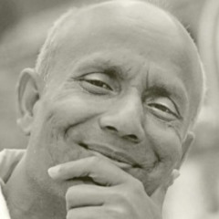 Sri Chinmoy Guided (in color and form)