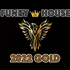 Funky & House 👑 2022 Gold 👑 Crazibiza | Mark Knight | Richard Grey ⭐DJ RIP⭐