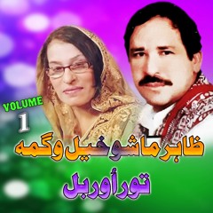 Beqara Ma Garza Janan Na (Tappay) [feat. Zahir Mashookhail]
