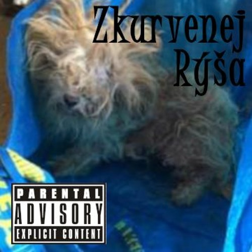 ZKURVENEJ RÝŠA - Mirek Novák