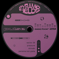 PREMIERE: Pulse - Sector 29 [Neptune Discs]