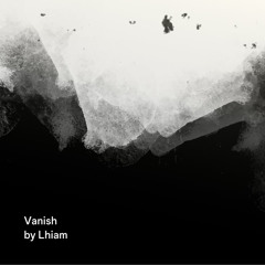 Vanish (Original Mix)