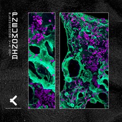 Nigh/T\mare - Resigned