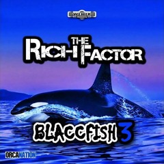 Rich Tha Factor Feat. Slinkonthebeat - Rich Life
