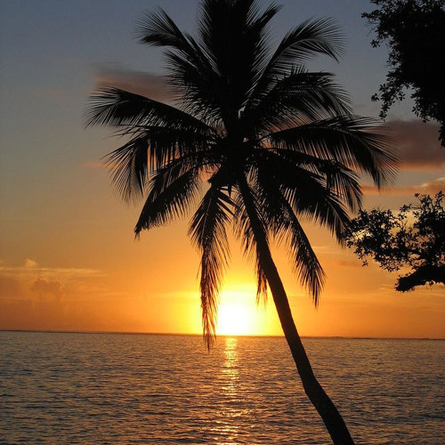 Al son de los cocos 🌴🥥!!!