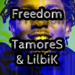 *FREE DL* 棲 21 Savage x Kendrick Lamar type beat | Freedom (Prod. TamoreS & LilbiK) 95bpm A maj