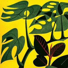 Plant Based Relaxation