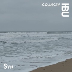 Syn - Ico Casa