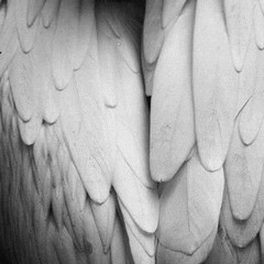 art-ark