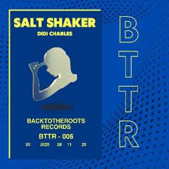 Salt Shaker - Didi Charles