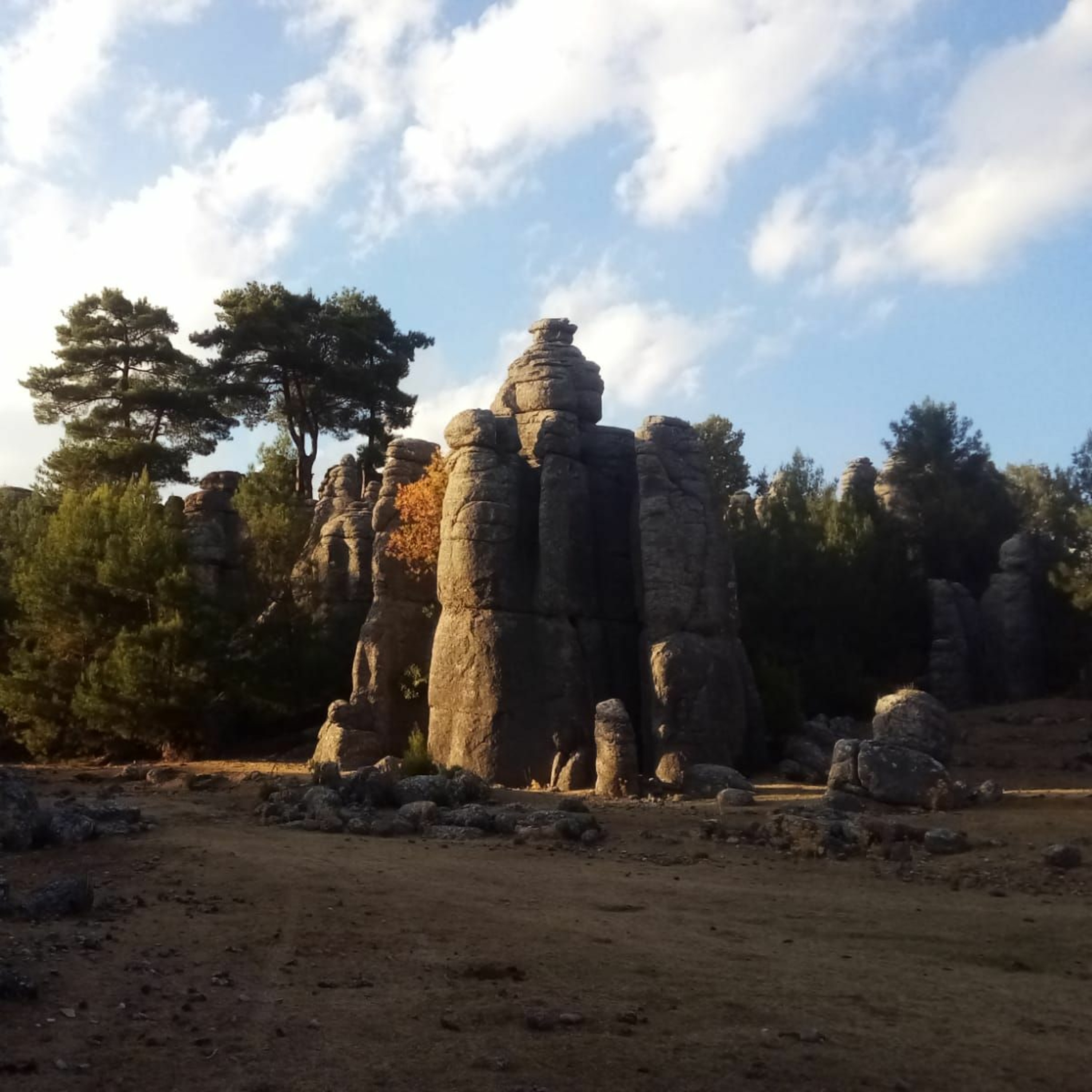 Steppe FM