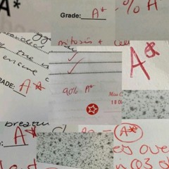 Pov: It's almost mid-year and you can feel academic burnout catching up to you