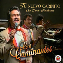 Tu Nuevo Cariñito (Con Banda Sinaloense)