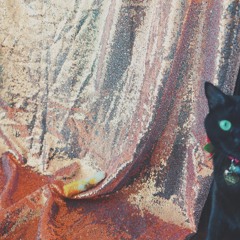 Miss Americana and the Heartbreak Prince - Taylor Swift