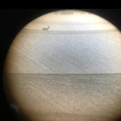 MINIATURE FOR BOO 53 - THE DREAMING SAILOR