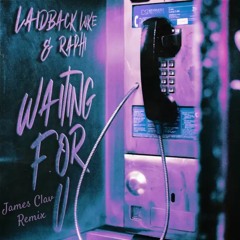Laidback Luke & Raphi - Waiting For You [James Clav Remix]