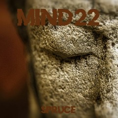 Mind22