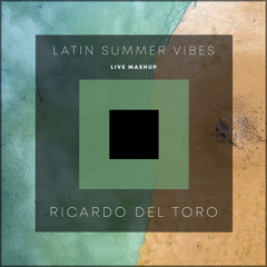 Latin Summer Vibes (Live Mashup)