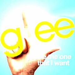 EGUALIZE PROJECT - You're The One That I Want - Glee (FREE DOWNLOAD)