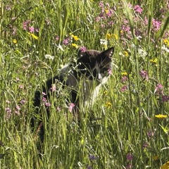 That's What Life Is All About