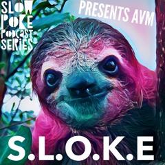 S.L.O.K.E // Slow Poke Session 027 With AVM