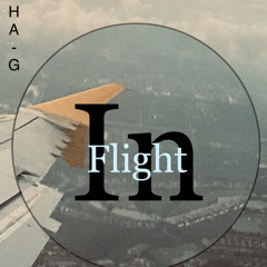 In Flight