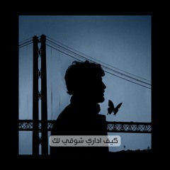 كيف اداري شوقي
