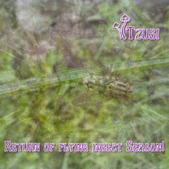 Return of Flying Insect Season!!!