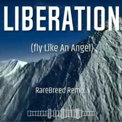 Liberation - Fly Like An Angel (rarbreed remix)