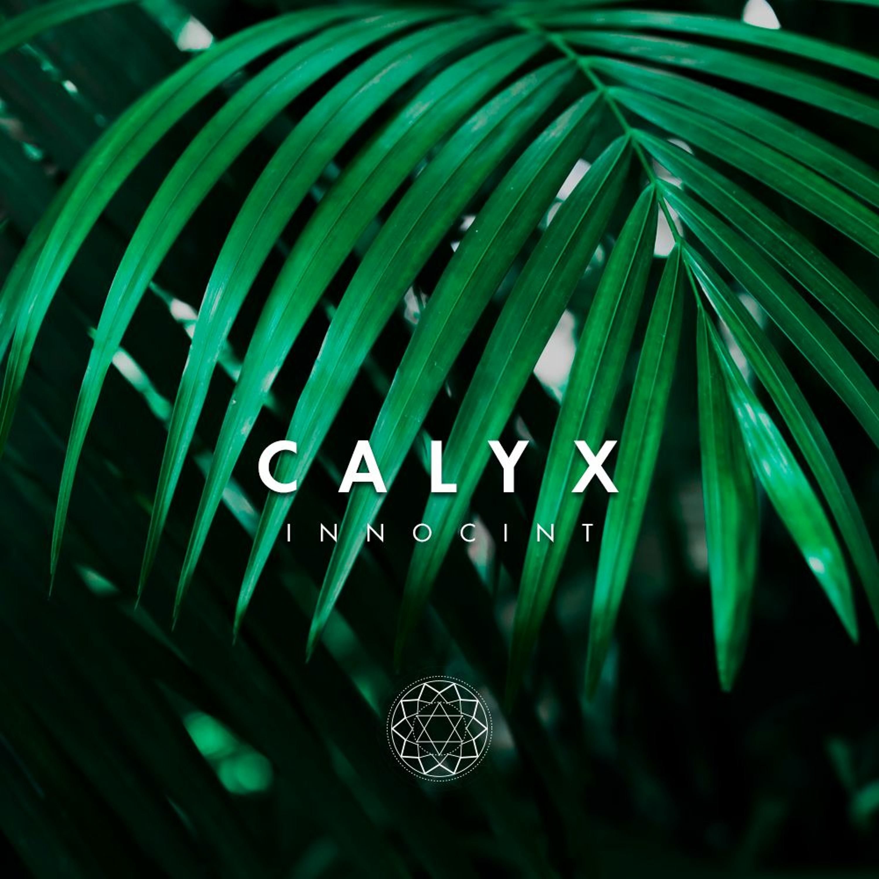 Calyx | Deep House | IN046