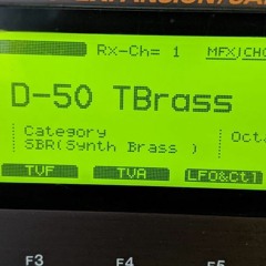 D - 50 TBrass (Brass)