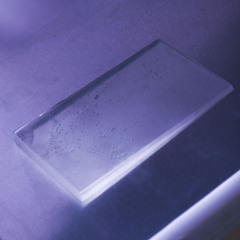 La Morte del Granchio