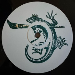 PREMIERE: Unknown Artist - The Lizard King [FLIPSW001]