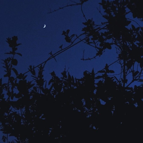 SAMCHUK - ТЕМНА НІЧ