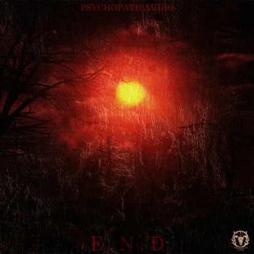 VA - Psychopath Audio - E.N.D EP