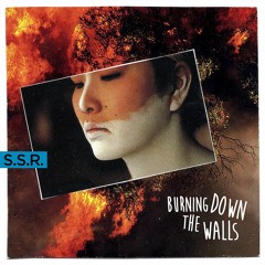 Burning Down The Walls