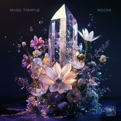 Bass Temple - Boom